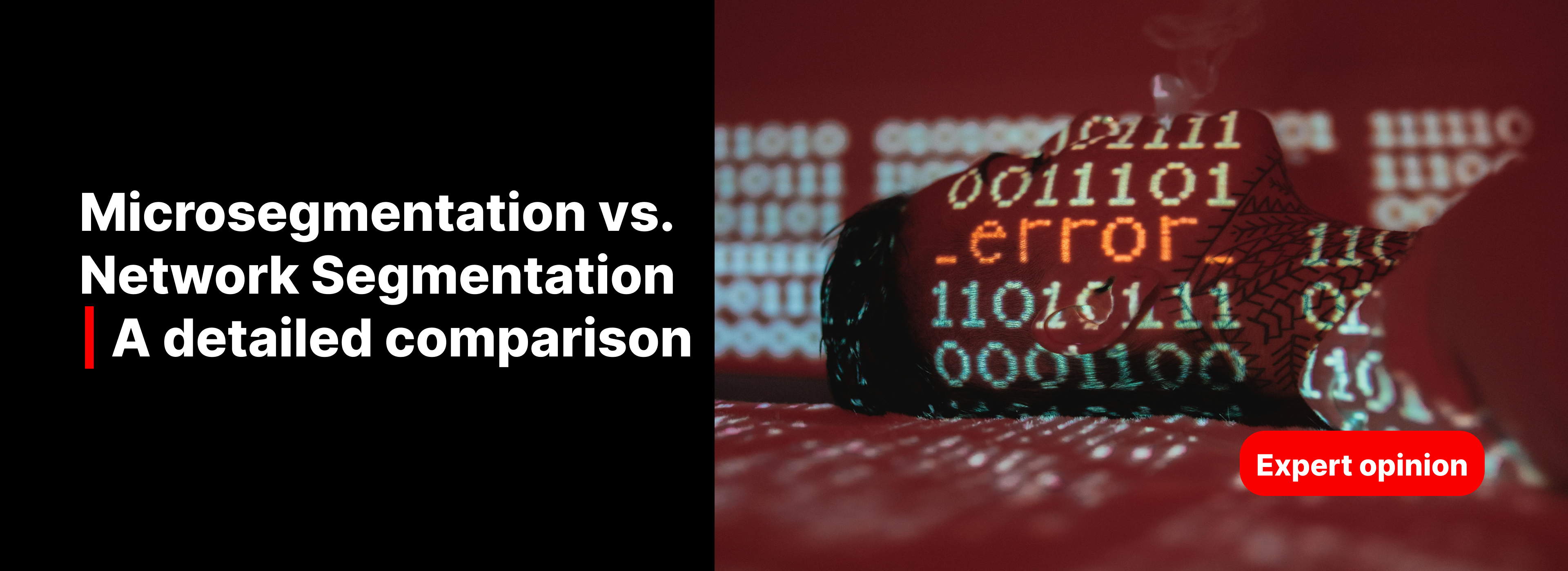 Microsegmentation vs. Network Segmentation | A detailed comparison